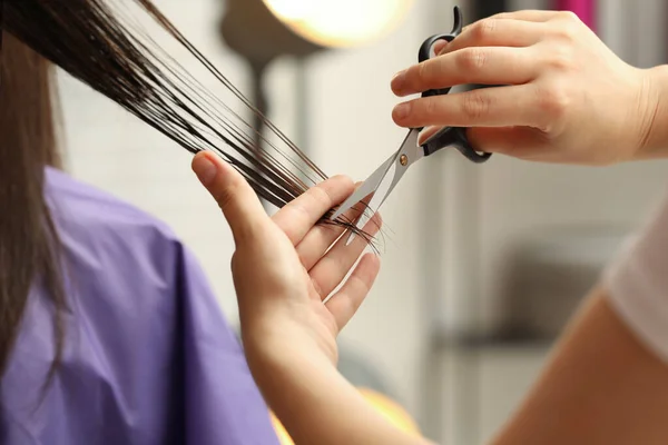 Penata Gaya Profesional Memotong Rambut Klien Salon Closeup — Stok Foto