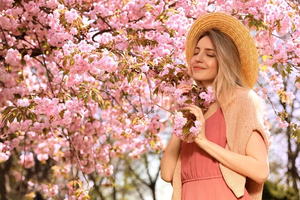 Glad Snygg Ung Kvinna Nära Blommande Sakura Träd Utomhus Vårblick — Stockfoto