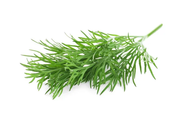 Sprig Färsk Dill Vit Bakgrund — Stockfoto