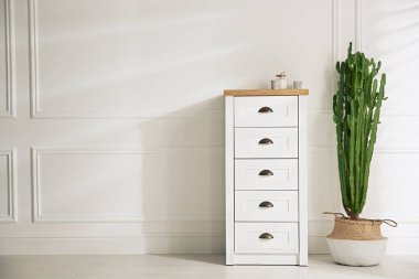 Güzel kaktüslü şık bir oda, yazı için yer var. İç tasarım