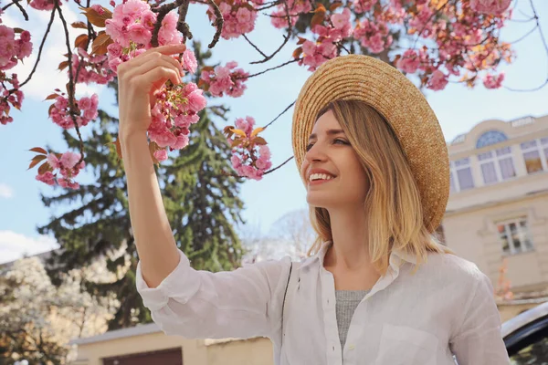 Feliz Turista Femenina Cerca Florecer Sakura Aire Libre Día Primavera — Foto de Stock