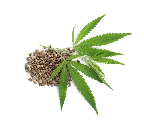 Pile Hemp Seeds Leaves White Background Top View — Stock Photo, Image