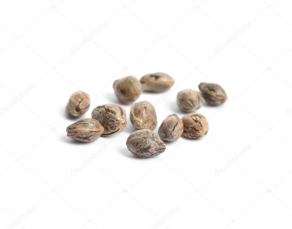 Raw organic hemp seeds on white background