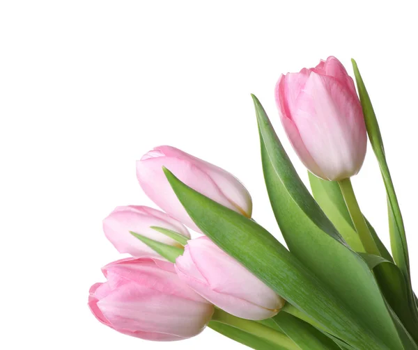 Schöner Strauß Von Tulpen Isoliert Auf Weiß — Stockfoto