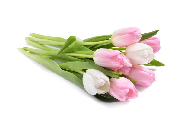 Piękny Różowy Wiosna Tulipany Białym Tle — Zdjęcie stockowe