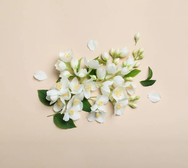 Platte Lay Compositie Met Mooie Jasmijnbloemen Beige Achtergrond — Stockfoto
