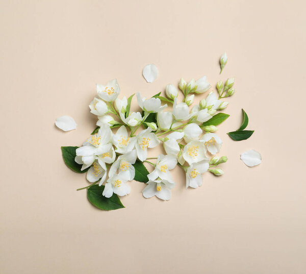 Flat lay composition with beautiful jasmine flowers on beige background