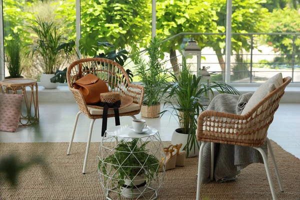Innenterrasseninterieur Mit Eleganten Möbeln Und Zimmerpflanzen — Stockfoto