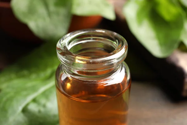 Flasche Breitwegerich Extrakt Nahaufnahme — Stockfoto