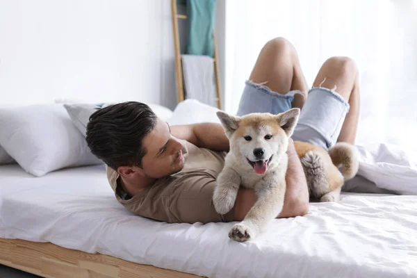 幸せ男とともに彼のかわいい秋田犬子犬で自宅 — ストック写真