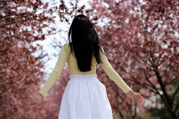 Ung Kvinna Nära Vackra Blommande Träd Utomhus Bakifrån Snygg Vårlook — Stockfoto