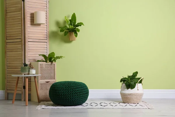 Interior Elegante Quarto Com Pufe Malha Confortável Plantas Perto Parede — Fotografia de Stock