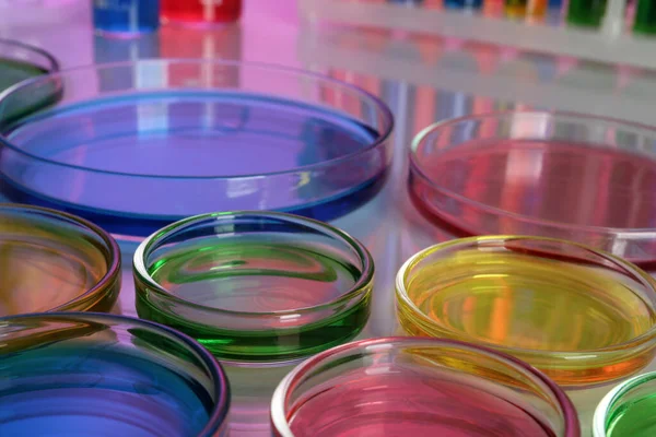 Petri Πιάτα Διαφορετικά Πολύχρωμα Δείγματα Στο Τραπέζι Closeup — Φωτογραφία Αρχείου