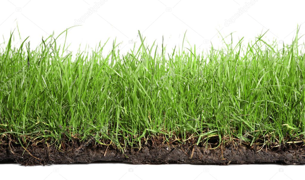 Soil with lush green grass on white background