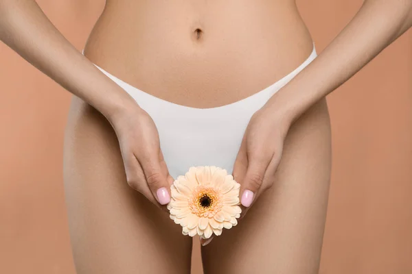 Woman White Panties Gerbera Flower Peach Background Closeup — Stock Photo, Image