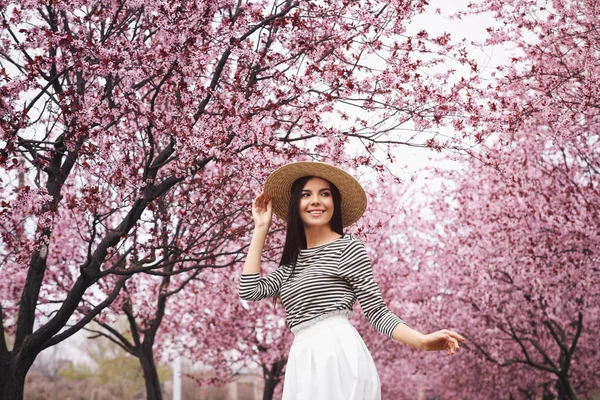 Hübsche Junge Frau Park Mit Blühenden Bäumen Frühlings Look — Stockfoto