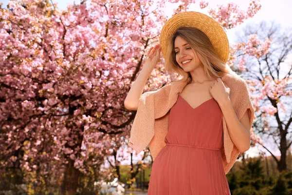 Glad Snygg Ung Kvinna Nära Blommande Sakura Träd Utomhus Vårblick — Stockfoto