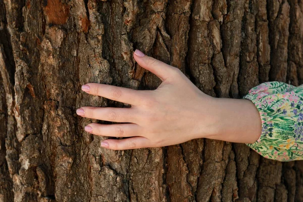 Young woman hugging tree trunk, closeup view