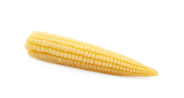 Свіжий Дитячий Кукурудзяний Коб Білому Тлі — стокове фото