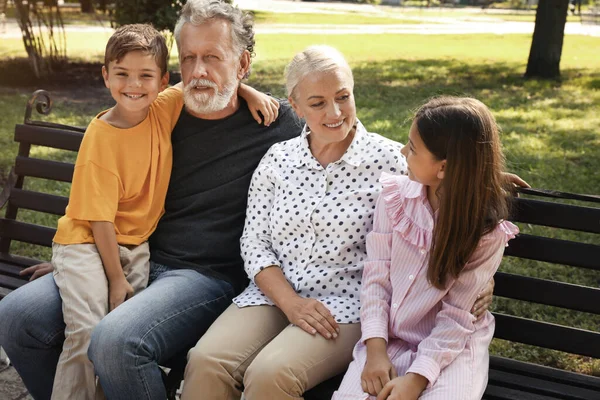 Glückliche Großeltern Mit Kleinen Kindern Ruhen Zusammen Park — Stockfoto
