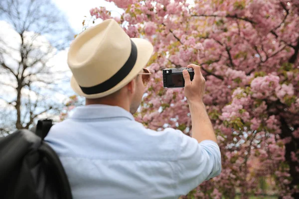 Мужчина Турист Фотографирует Цветущее Дерево Парке Весной — стоковое фото