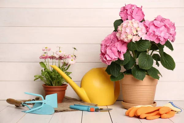 Όμορφα Ανθισμένα Φυτά Εργαλεία Κηπουρικής Και Αξεσουάρ Λευκό Ξύλινο Τραπέζι — Φωτογραφία Αρχείου