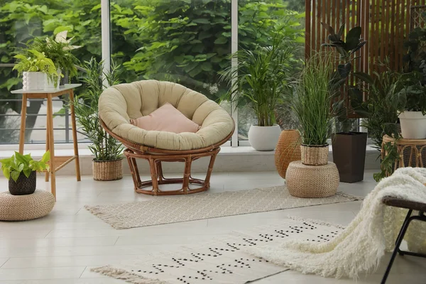 柔らかいパパイヤチェアと緑の植物と屋内テラスのインテリア — ストック写真