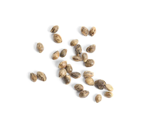 Hemp Seeds White Background Top View — Stock Photo, Image