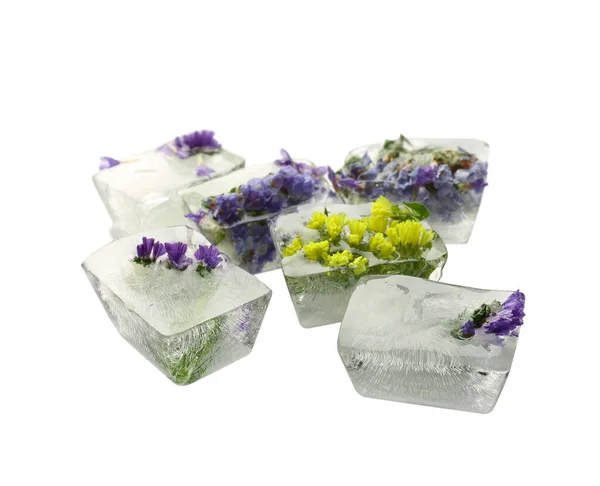 Ice Cubes Flowers White Background — Stock Photo, Image