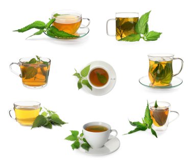 Beyaz arka planda cam bardaklarda aromatik ısırgan otu çayı ile hazırlanmış.
