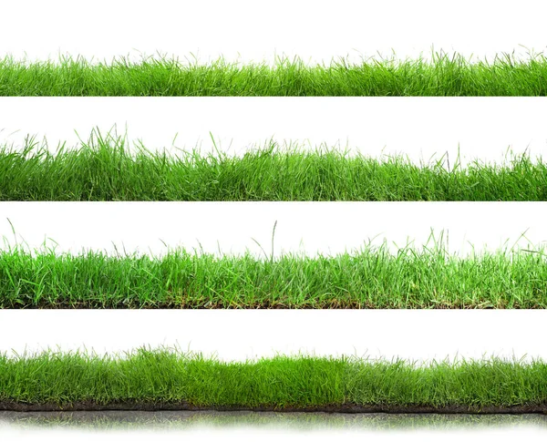 Mooi Weelderig Groen Gras Witte Achtergrond Collage — Stockfoto