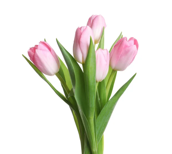 Piękny Bukiet Tulipanów Odizolowanych Białym — Zdjęcie stockowe