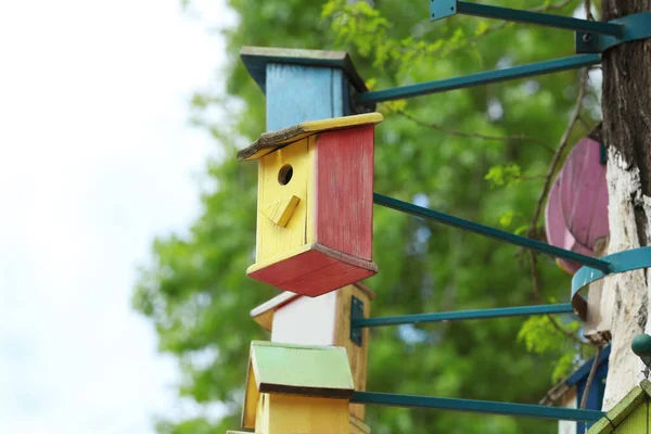 Viele Bunte Vogelhäuser Aus Holz Auf Bäumen Freien — Stockfoto