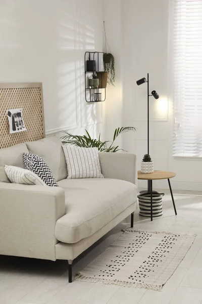Behagelig Sofa Stilig Stue Innvendig Utforming – stockfoto
