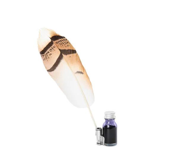 Feather Pen Bottle Ink White Background — Stock Photo, Image