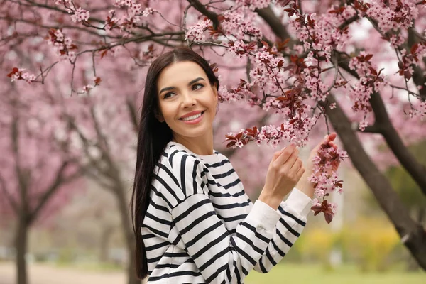 Piękna Młoda Kobieta Pobliżu Kwitnącego Drzewa Parku Wiosenne Spojrzenie — Zdjęcie stockowe
