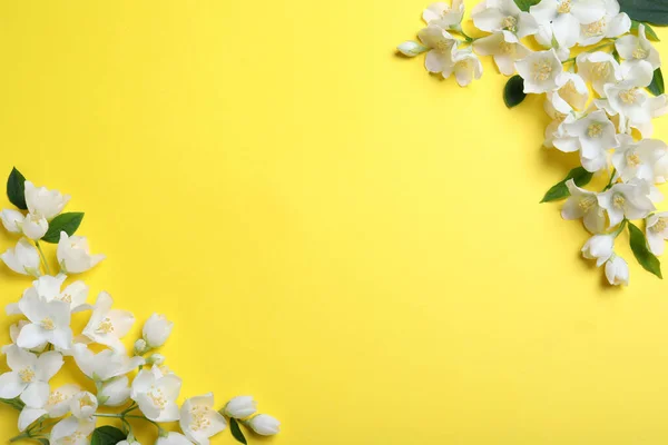 Hermosas Flores Jazmín Sobre Fondo Amarillo Planas Espacio Para Texto — Foto de Stock