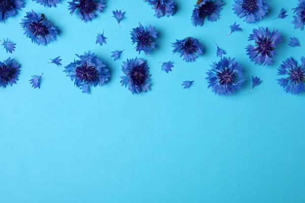 Prachtige Kleurrijke Korenbloemen Lichtblauwe Achtergrond Vlak Gelegd Ruimte Voor Tekst — Stockfoto