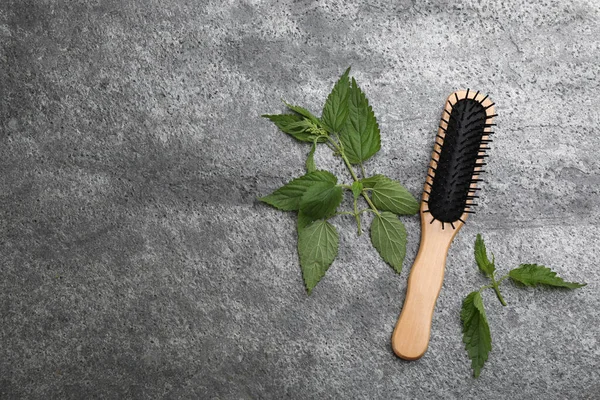 Stinging nettle and brush on grey background, flat lay with space for text. Natural hair care
