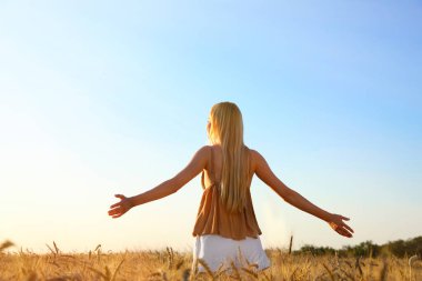 Woman in ripe wheat spikelets field, back view