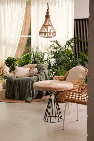 Vnitřní Terasa Interiér Měkkým Papasan Židle Zelené Rostliny — Stock fotografie