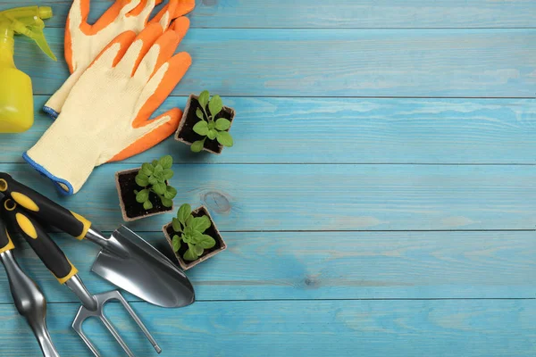 Composição Leigos Planos Com Ferramentas Jardinagem Plantas Verdes Fundo Madeira — Fotografia de Stock