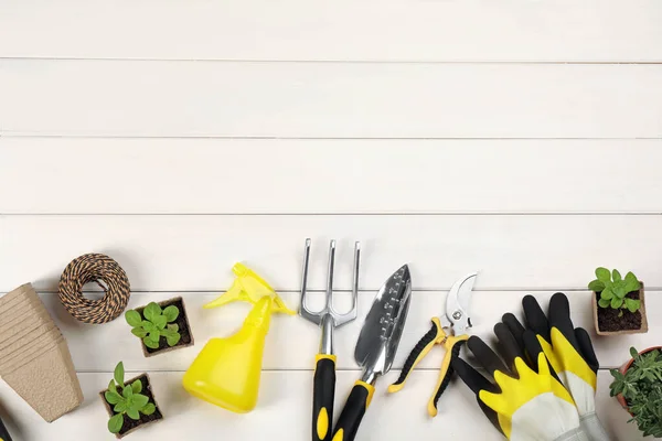 Herramientas Jardinería Plantas Sobre Fondo Madera Blanca Acostado Espacio Para —  Fotos de Stock