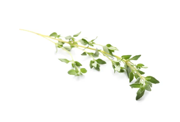 Sprig Tomilho Aromático Fundo Branco Erva Fresca — Fotografia de Stock