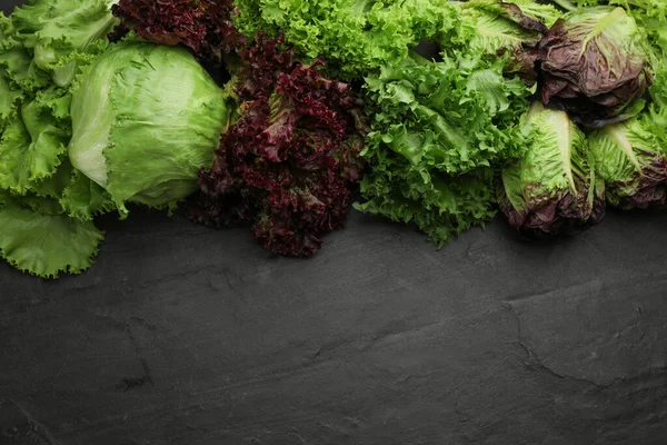 Verschillende Soorten Sla Zwarte Leisteen Tafel Plat Gelegd Ruimte Voor — Stockfoto