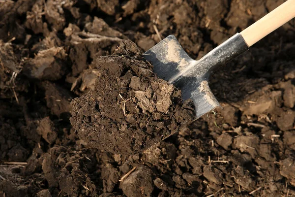 Excavando Tierra Con Pala Aire Libre Herramienta Jardinería — Foto de Stock