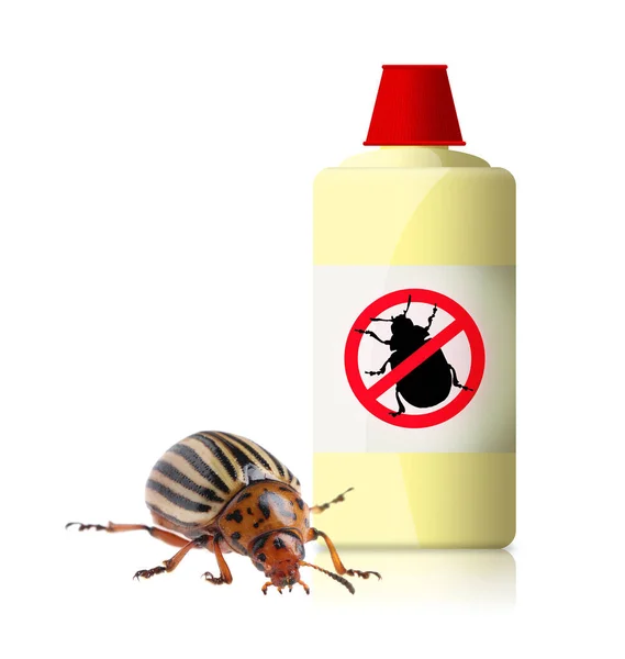 Insecticide Colorado Potato Beetle White Background — Stock Photo, Image