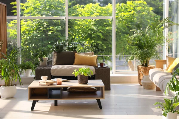Interior Terraço Interior Com Mobiliário Moderno Plantas Sala — Fotografia de Stock