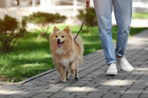 Frau Mit Ihrem Süßen Hund Beim Gassigehen Auf Der Stadtstraße — Stockfoto