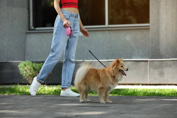 Frau Mit Ihrem Süßen Hund Beim Gassigehen Auf Der Stadtstraße — Stockfoto